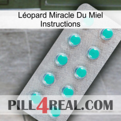 Léopard Miracle Du Miel Instructions 28